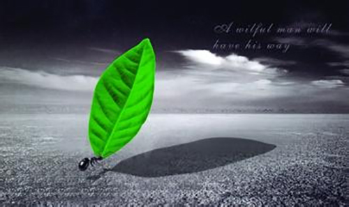 一位天使投資人的感悟:何謂創(chuàng)業(yè)精神 一位天使投資人的感悟:何謂創(chuàng)業(yè)精神