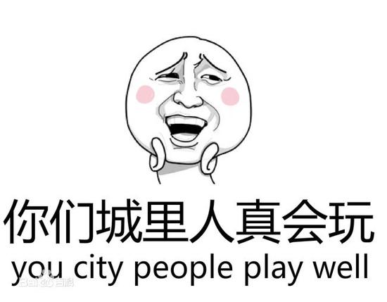 2015年十大網絡用語 2015年十大網絡用語