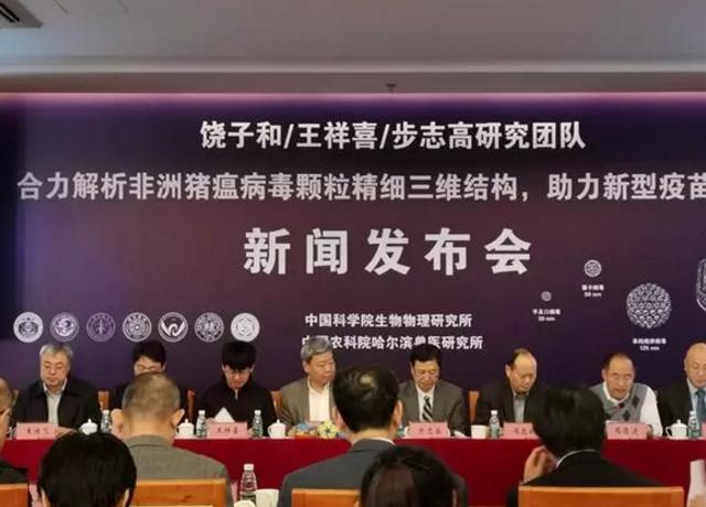 中國解析豬瘟病毒 對(duì)國家經(jīng)濟(jì)安全意義重大